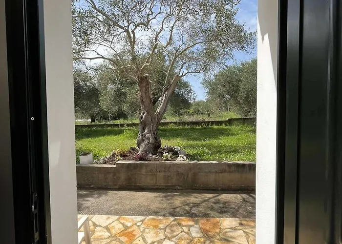 Kouris Garden View Lejlighed *